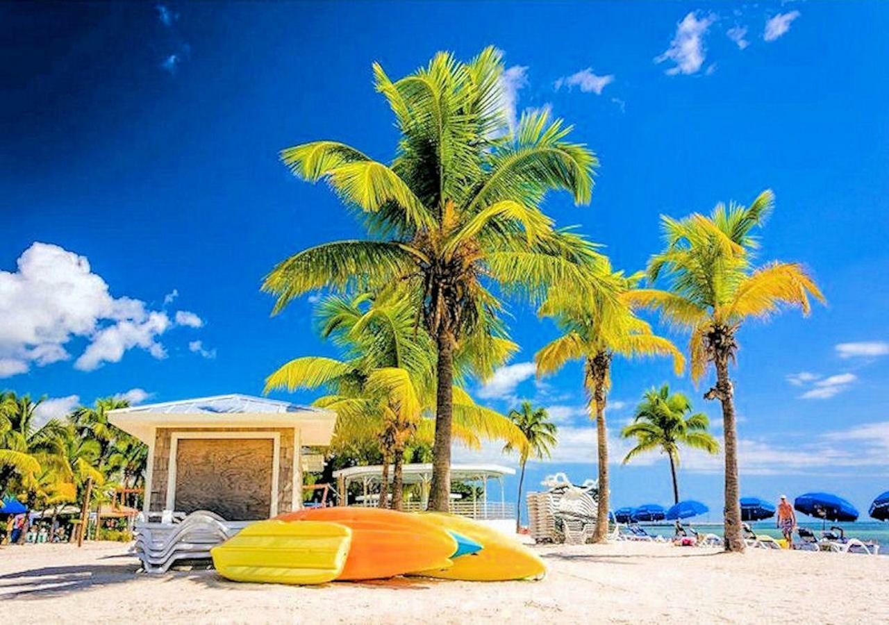 Luxury 5 Star Condominium Water Front 3 Beds 2 Bath Pool Hot-Tub Beach And City Views Clearwater Beach Eksteriør billede